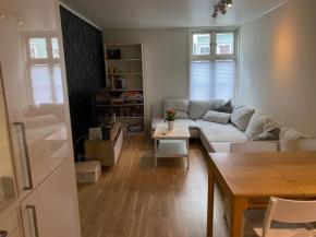 Apartment in the heart of Trondheim